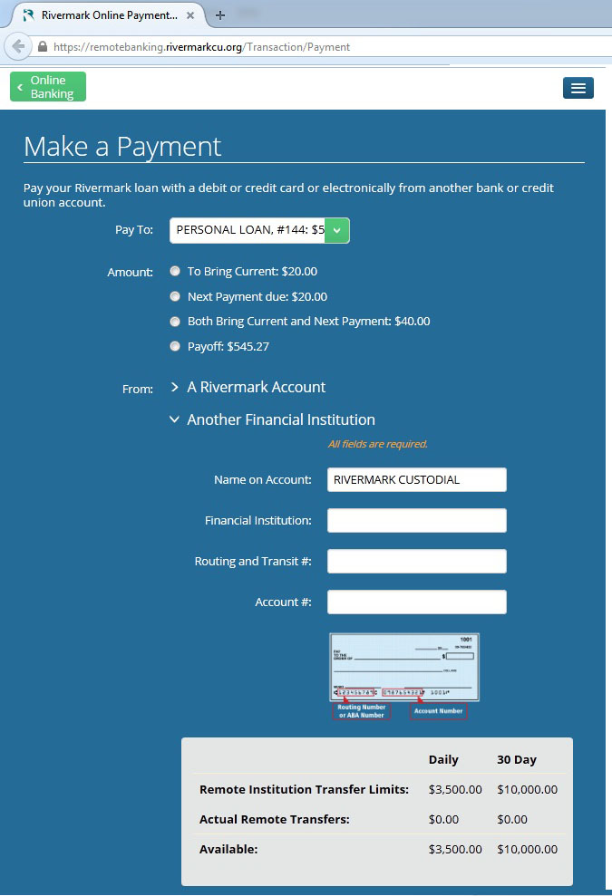 Online Payment Platform NACHA limits